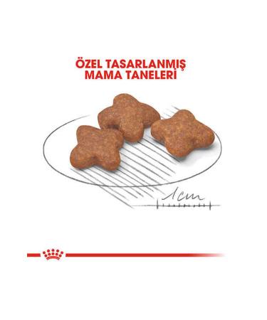 Royal Canin Mini Adult 8+ Small Breed Senior Dog Food 2 Kg - Buy Online on GoSupps.com