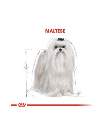 Royal Canin Maltese Terrier Adult Dog Food 1.5 Kg - Buy Online on GoSupps.com