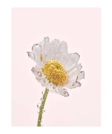 Yves Rocher Facial Cleansing Oil - Sensitive Skin / Pure Camomille Soothing and Make-Up Remover 150 ml - Buy Online on GoSupps.com