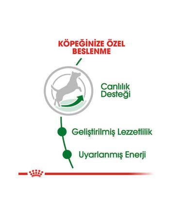 Royal Canin Mini Adult 8+ Small Breed Senior Dog Food 2 Kg - Buy Online on GoSupps.com