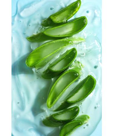 Agarta Natural Moisturizing Body Lotion - 300 Ml - Buy Online on GoSupps.com