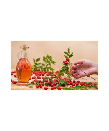 FT ALATURKA TASTES ORGANIC ROSEHIP VINEGAR 500 ML