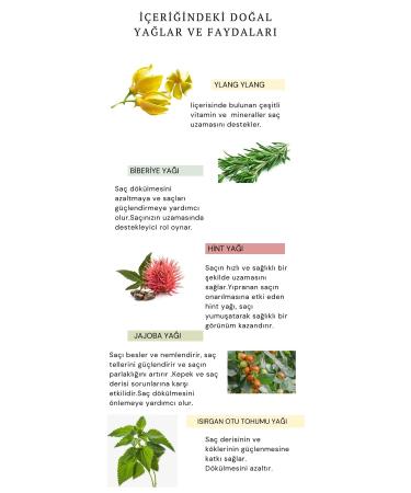 RAVENNA Hair Care Oil - Buy Online on GoSupps.com