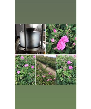 Roselcim Oil-Free Natural Rose Water (Rose Yeast) 1000 Ml - Buy Online on GoSupps.com