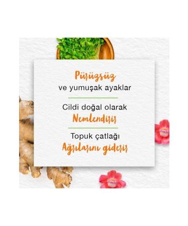 Himalaya Since 1930 Foot Cream Sal Tree Fenugreek Turmeric Honey Moisturizing Nourishing All Skin 75 ml - Buy Online on GoSupps.com