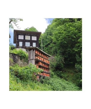 KA KARDAN Chestnut Forest Honey 250 G - Buy Online on GoSupps.com