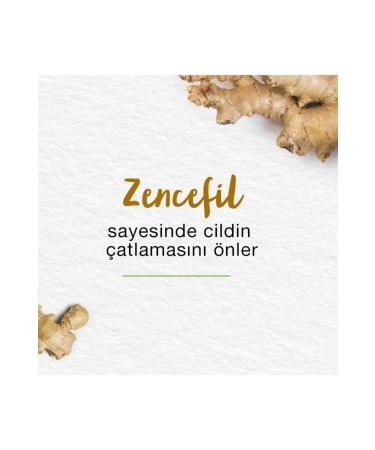 Himalaya Since 1930 Foot Cream Sal Tree Fenugreek Turmeric Honey Moisturizing Nourishing All Skin 75 ml - Buy Online on GoSupps.com