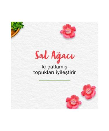 Himalaya Since 1930 Foot Cream Sal Tree Fenugreek Turmeric Honey Moisturizing Nourishing All Skin 75 ml - Buy Online on GoSupps.com