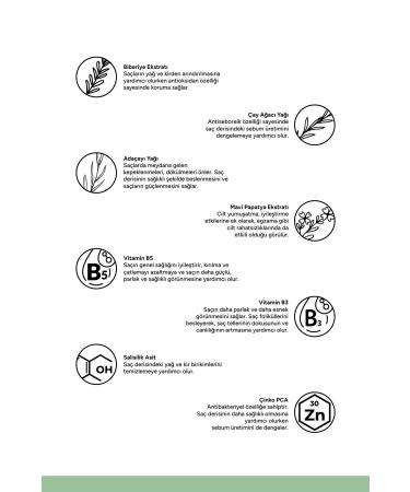 Alerma Detox Sulfate-Free Hair Mask for Fine and Oily Hair 240 ml - Buy Online on GoSupps.com