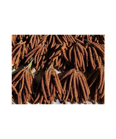 YEMPARK Dal Millet-natural Red Fox Tail Large Size Dal Millet 1kg (Red Dal Millet) - Buy Online on GoSupps.com
