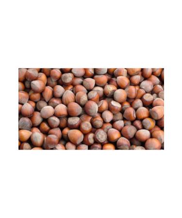 SKY SAKLIKENT YIGILCA Hazelnuts in Shell