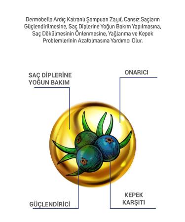 DERMOBELLA Juniper Tar Shampoo 700 ml - Buy Online on GoSupps.com