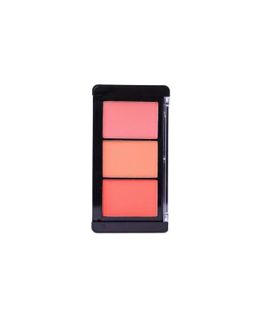 Lesvip's blush 3-pack matte blush