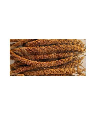 YEMPARK Dal Millet-natural Red Fox Tail Large Size Dal Millet 1kg (Red Dal Millet)