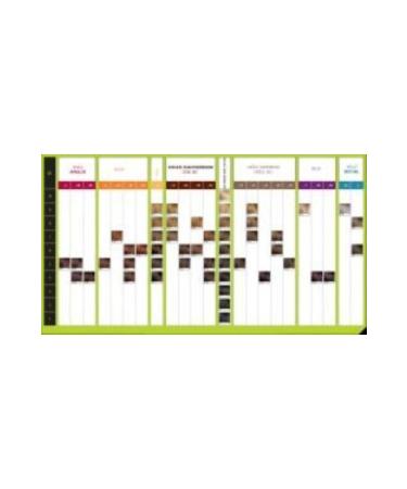 Toppik Hair Building Fibers Light Brown 27.5gr - Buy Online on GoSupps.com