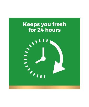 Irish Spring Original Clean Body Wash Original Shower Gel 591 Ml - Buy Online on GoSupps.com