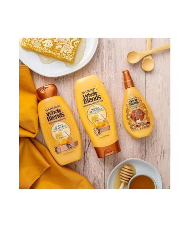 Garnier Honey Essence Repair Shampoo 650ml - Buy Online on GoSupps.com