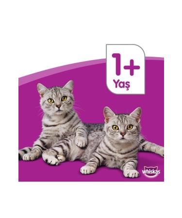 Whiskas Chicken Kitten Dry Cat Food 300 gr (3 Pieces) - Buy Online on GoSupps.com