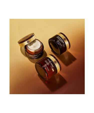 Yves Rocher Riche Creme Night Cream Nourishing Anti-Aging Precious Oil Care - Carest Cosmetic - Buy Online on GoSupps.com