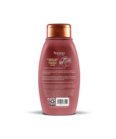 AVEENO Blackberry Quinoa Protein Blend Shampoo 354ml - Buy Online on GoSupps.com