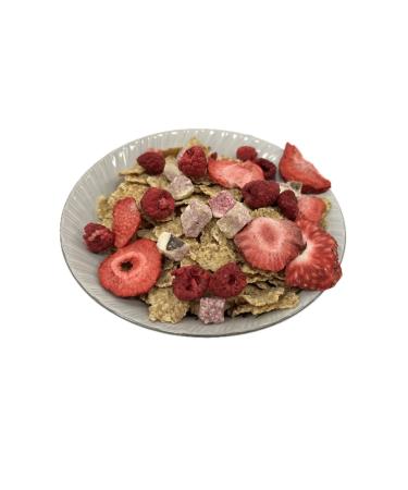 gargal Freeze Dry Apricot Fig Strawberry Apple 4-Piece Fruit Chips from the Manufacturer Healthy Food - Buy Online on GoSupps.com