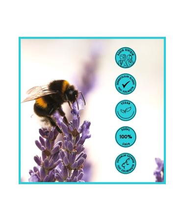 Heaven on Earth All Hair Types Anti Hair Loss Sulfate-Free Nourishing Shampoo Vegan 0 Natural Organic 300 ml X2 - Buy Online on GoSupps.com