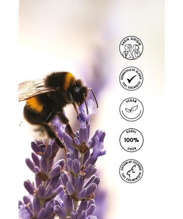 Heaven on Earth Anti-Blackhead Refreshing Facial Cleansing Gel for All Skin Types 150 ml - Buy Online on GoSupps.com