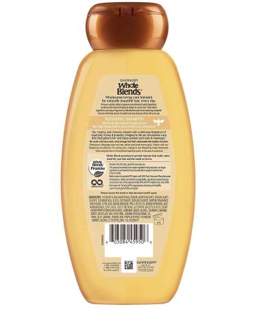 Garnier Honey Essence Repair Shampoo 650ml - Buy Online on GoSupps.com