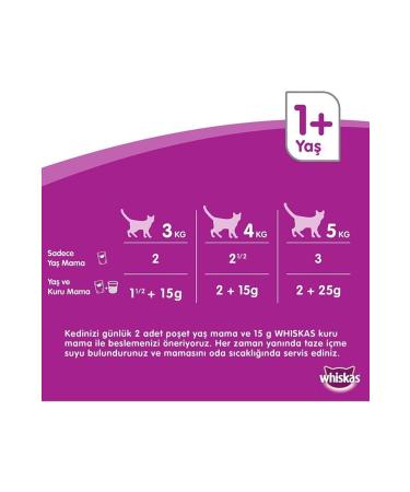 Whiskas Chicken Kitten Dry Cat Food 300 gr (3 Pieces) - Buy Online on GoSupps.com