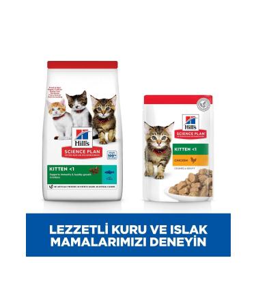 Hill's SCIENCE PLAN Tuna Kitten Food 7 Kg - Buy Online on GoSupps.com
