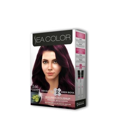 APAK T CARET Sea Color Hair Dye Set Eggplant Purple 3.66