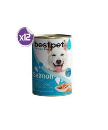 Bestpet Canned Adult Dog Food with Salmon Sauce 12 X 400 Gr
