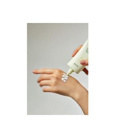 Goodal Heartleaf Mineral Filter Sun Cream - Houttuynia Cordata Extract Mineral Filter Sun Cream - Buy Online on GoSupps.com