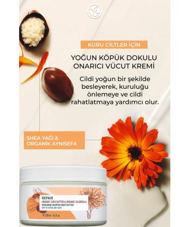 Yves Rocher Body Cream - Dry Skin - Repair Nourishing Intensive Texture / Reparation-250 ml - Buy Online on GoSupps.com