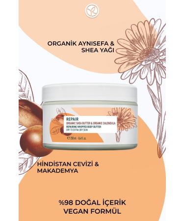 Yves Rocher Body Cream - Dry Skin - Repair Nourishing Intensive Texture / Reparation-250 ml - Buy Online on GoSupps.com