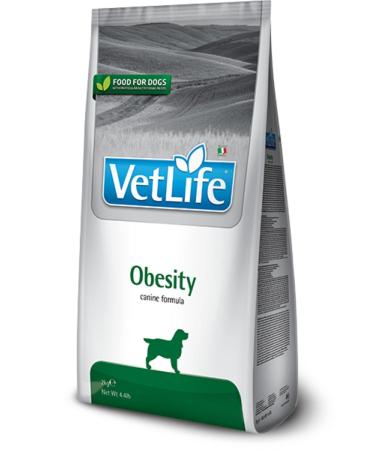 VETL FE Vet Life Dog Obesity 2 Kg - Dog Food