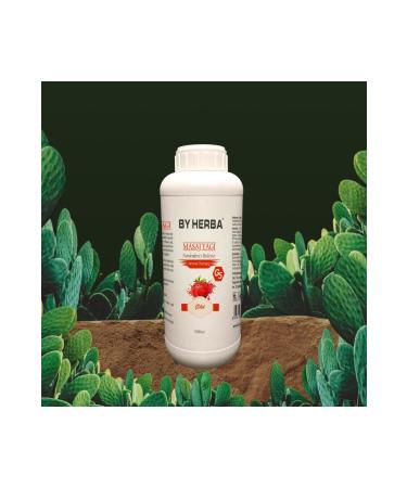 By Herba Strawberry Flavored Relaxing and Moisturizing Aromatherapy Massage Oil 1 Liter