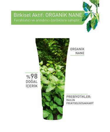 Yves Rocher Pure Menthe Clay Mask for Combination and Oily Skin - 75 ml - Buy Online on GoSupps.com