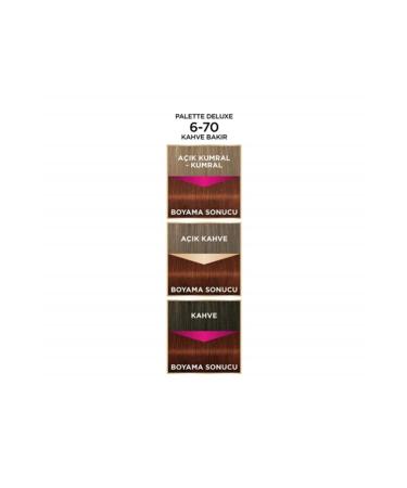 Palette Deluxe Oil Care Hair Dye 6.70 Brown Copper