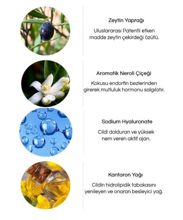 Sebipharma Alchemist Anti-Aging and Anti-Wrinkle Skin Cream - Buy Online on GoSupps.com