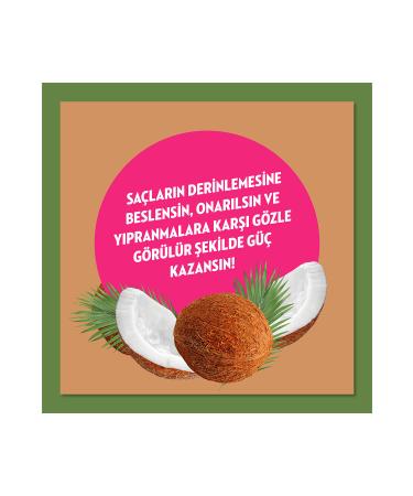 Elidor Nature's Energy Shampoo Coconut Oil 400 ml X3 - Buy Online on GoSupps.com