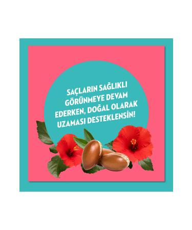 Elidor Nature's Energy Shampoo Argan Oil & Hibiscus Extract 400 ml X3 - Buy Online on GoSupps.com