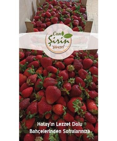 Can irin Local Strawberry Jam 850g - Buy Online on GoSupps.com