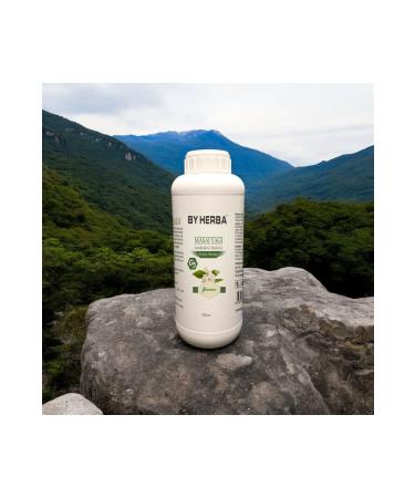 By Herba Jasmine Flower Aromatic Relaxing and Moisturizing Aromatherapy Massage Oil - 1 Liter