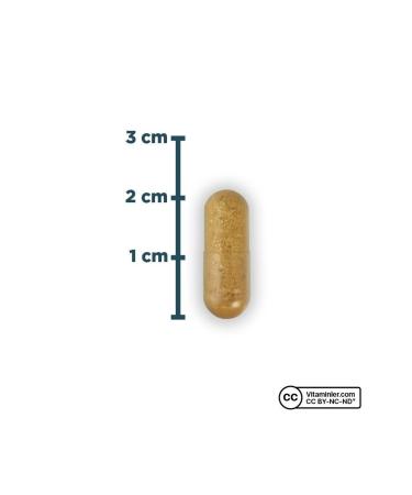 Natures Supreme Multivitamin For Men 60 Capsules - Unflavored - Buy Online on GoSupps.com