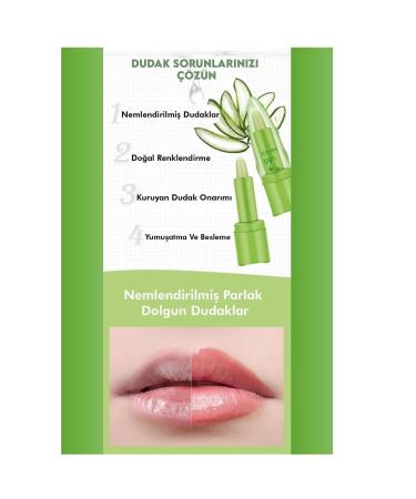SETBEAUTY Aloe Vera Extract Magic Lipstick Color Changing 24 Hour Lasting Lipstick - Buy Online on GoSupps.com