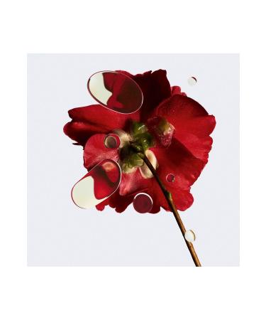 Chanel N 1 DE CHANEL - Revitalizing Eye Cream That Can Eliminate Under-Eye Swelling and Dark Circles 15 gr - Buy Online on GoSupps.com