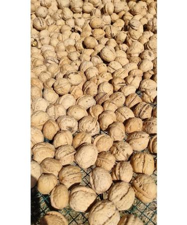 Mut Pearl Olive & Olive Oil Yayla Walnut Net 3 Kg - Buy Online on GoSupps.com