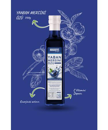 HAVRAN KOCASEYIT Black Mulberry Extract Blueberry 700 gr - Buy Online on GoSupps.com