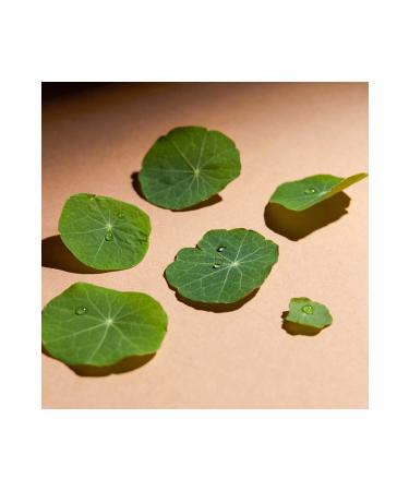 erborian Cc Eye With Centella Asiatica Brightening Moisturizing Brightening Cc Cream 10ml Dore - Buy Online on GoSupps.com